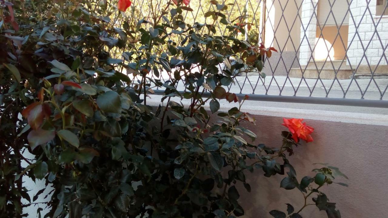 Apartment Sunce ポドストラナ エクステリア 写真